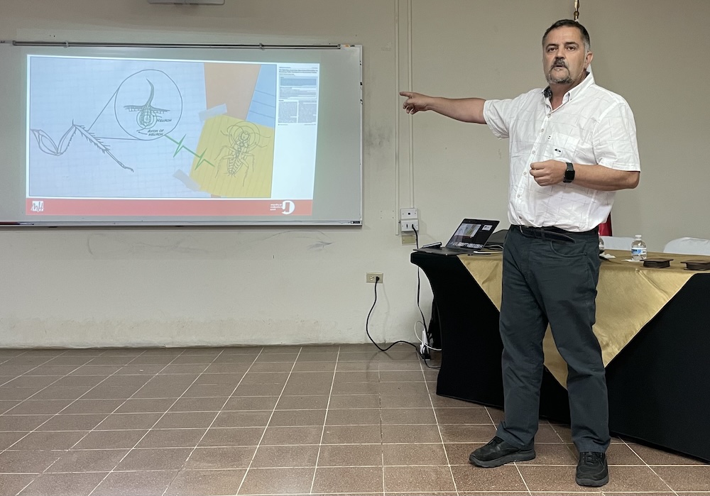 sabater_academic_profile